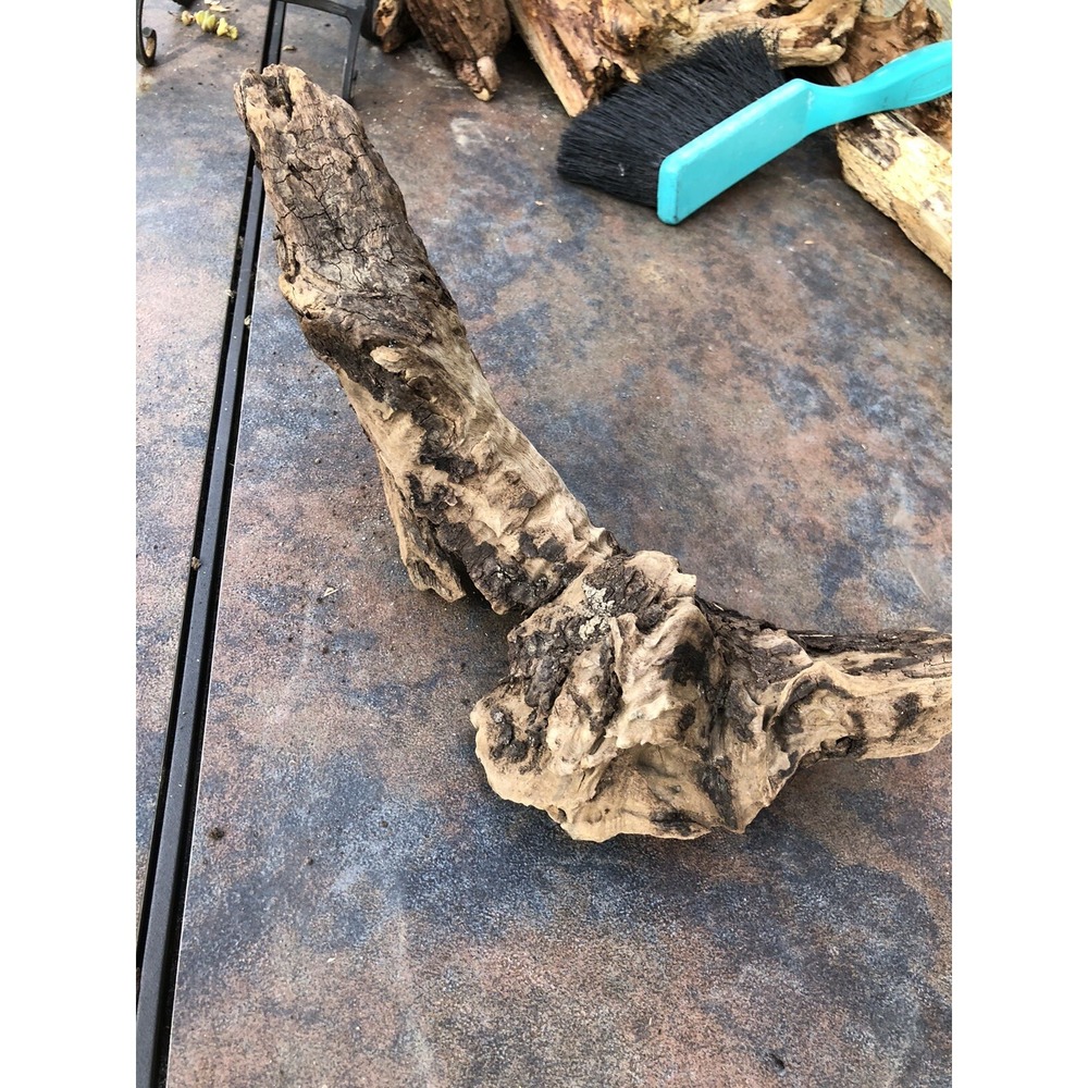 Natural Driftwood for Plants Terrarium Taxidermy Art Projects